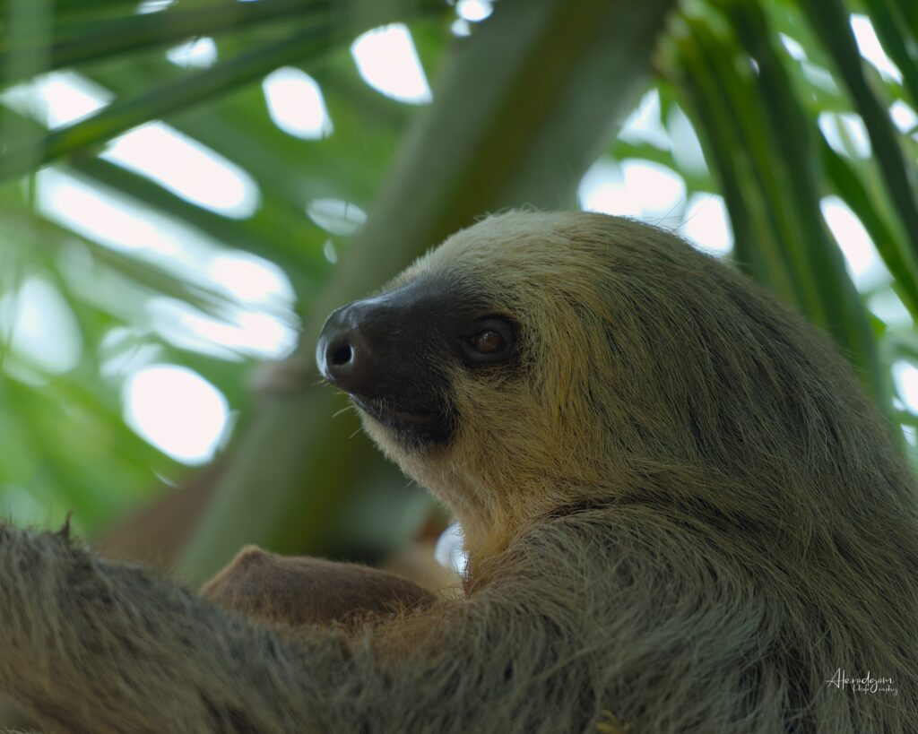 NATURE EXPEDITION COSTA RICA