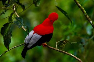 Ecuador Expedition