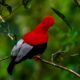 Ecuador Expedition